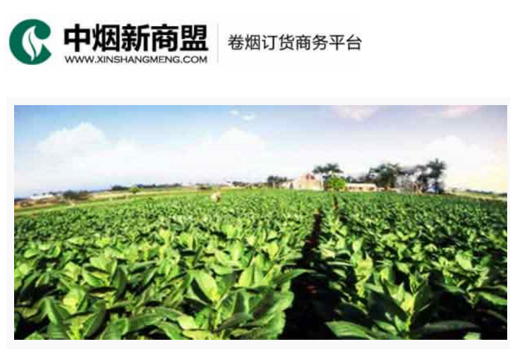 中烟新商盟卷烟订货商务平台-金数据